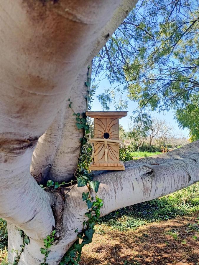 Вілла Agriturismo Il Cipresso Вада Екстер'єр фото